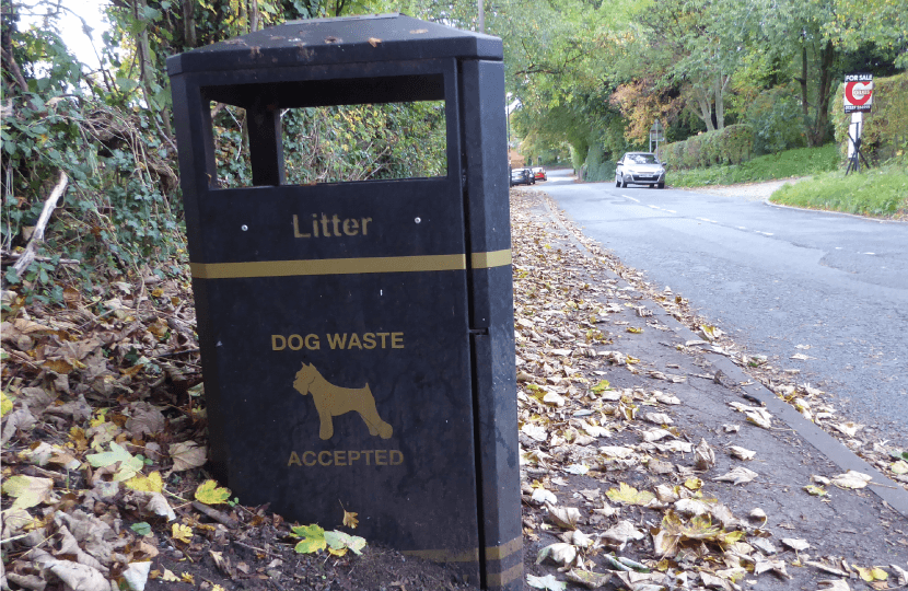 Dog fouling incidents