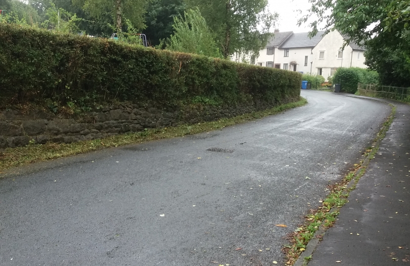 Hedge on Mill Lane