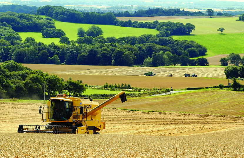 Farming scene